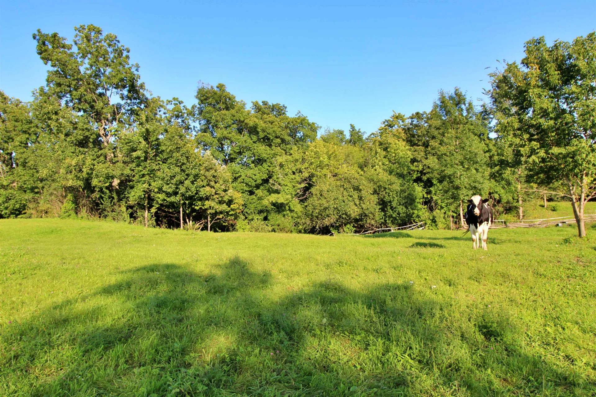 27 Faywood Road Grand Isle VT 05458