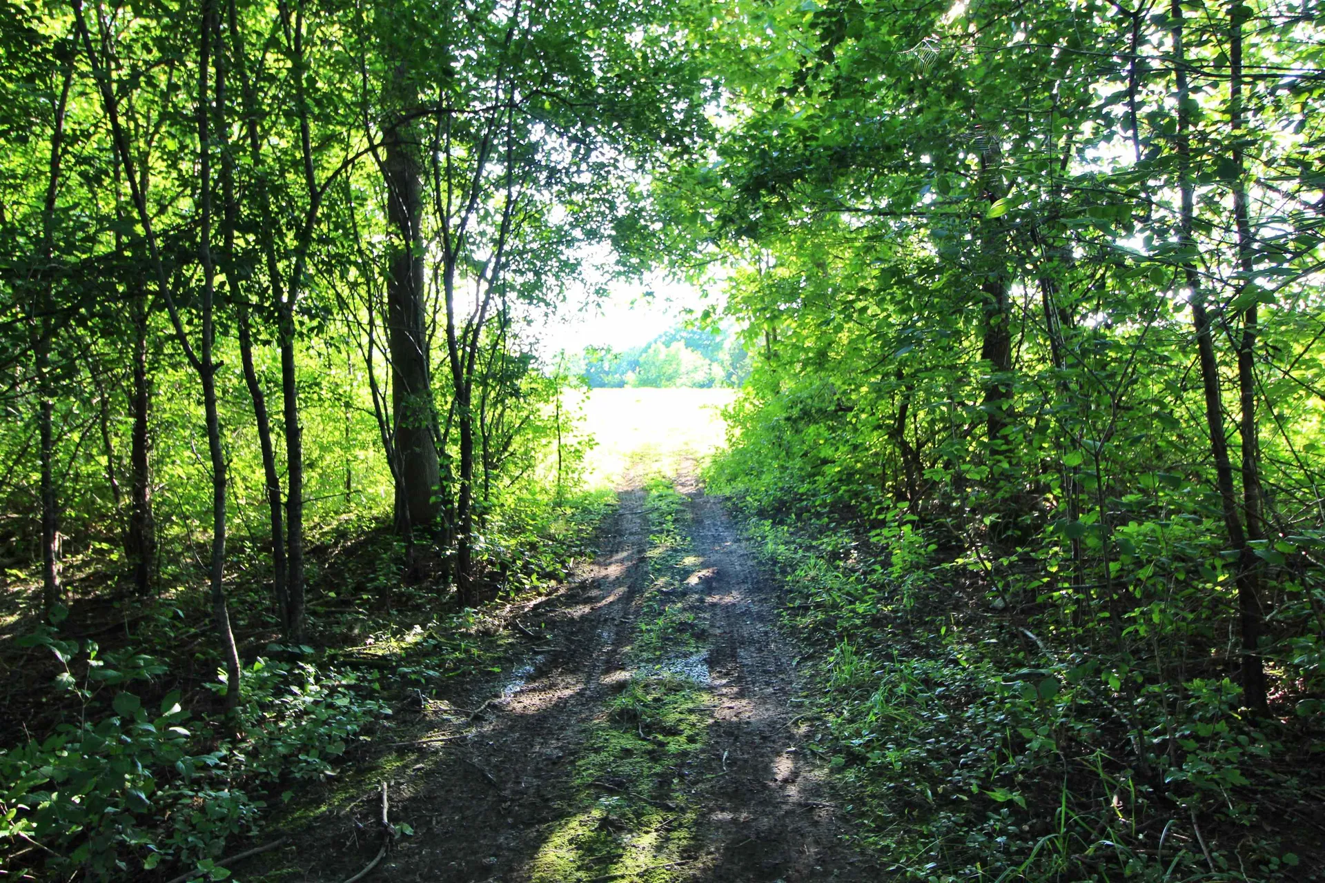 27 Faywood Road Grand Isle VT 05458