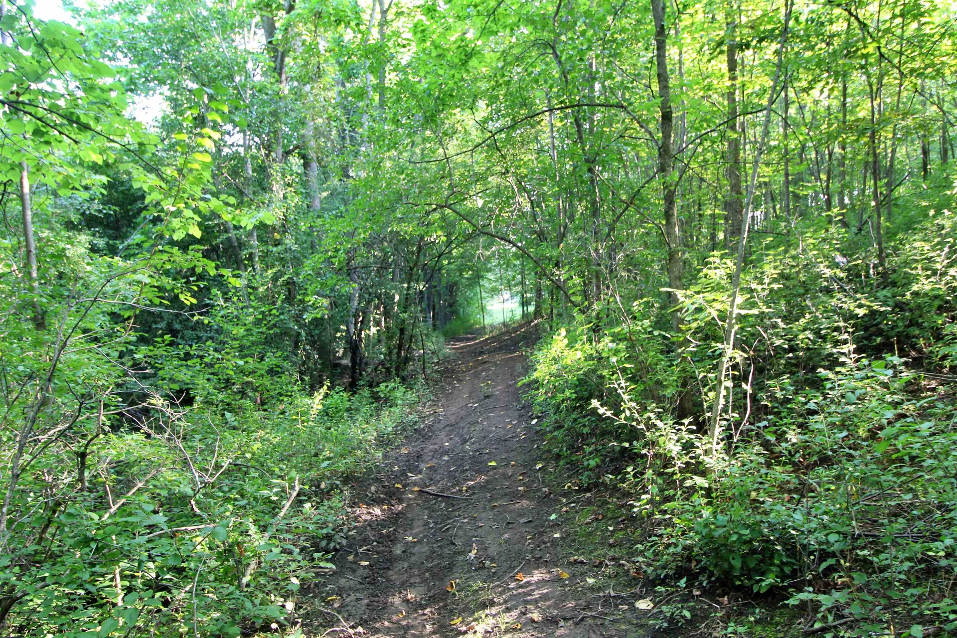 27 Faywood Road Grand Isle VT 05458