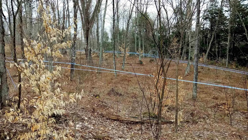 1036 Town Hill Road Wolcott VT 05680