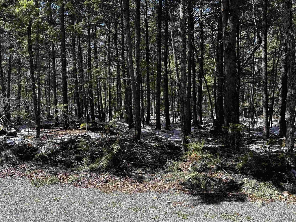 119 Pauls Place Enfield NH 03748