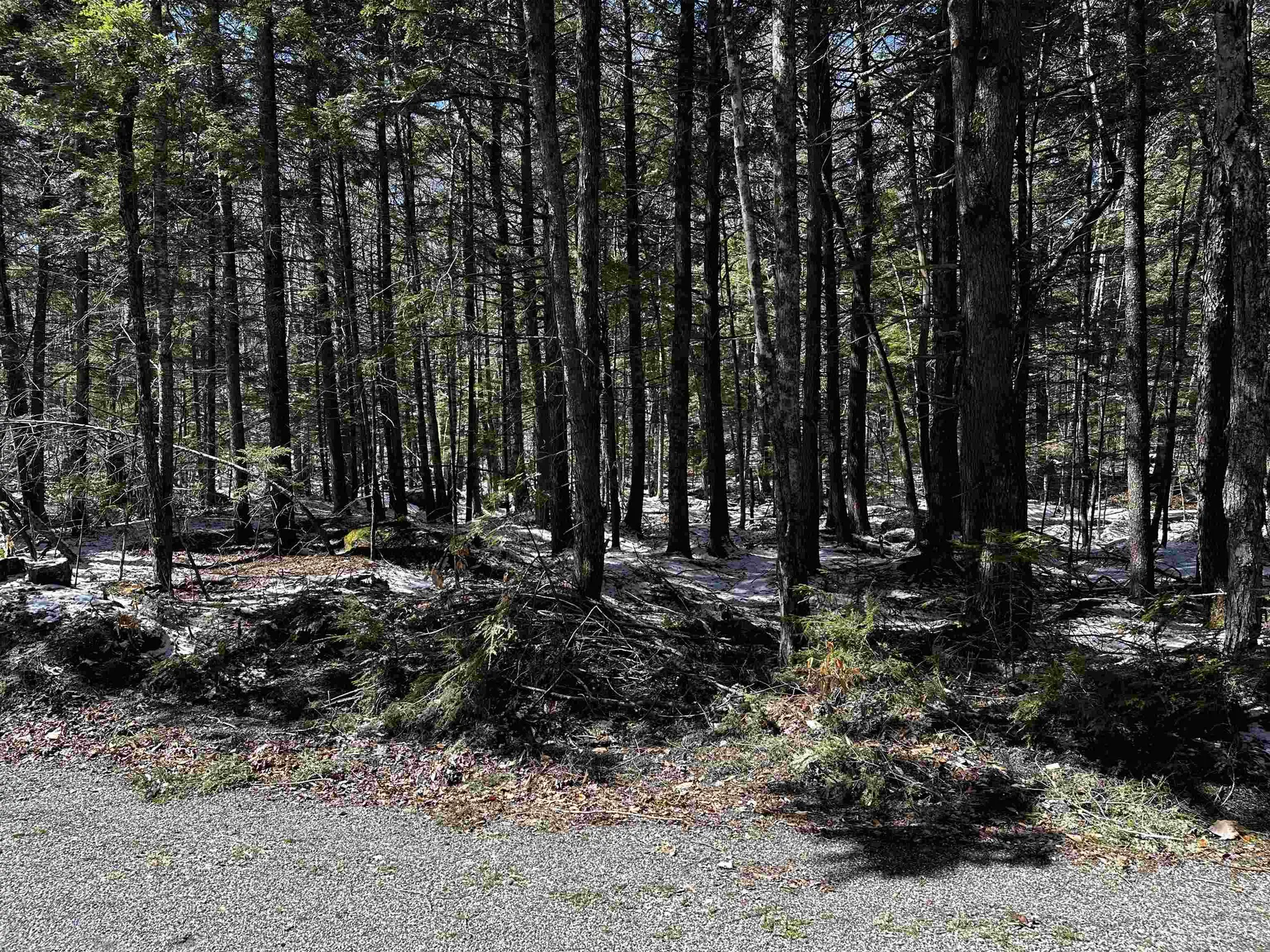 119 Pauls Place Enfield NH 03748