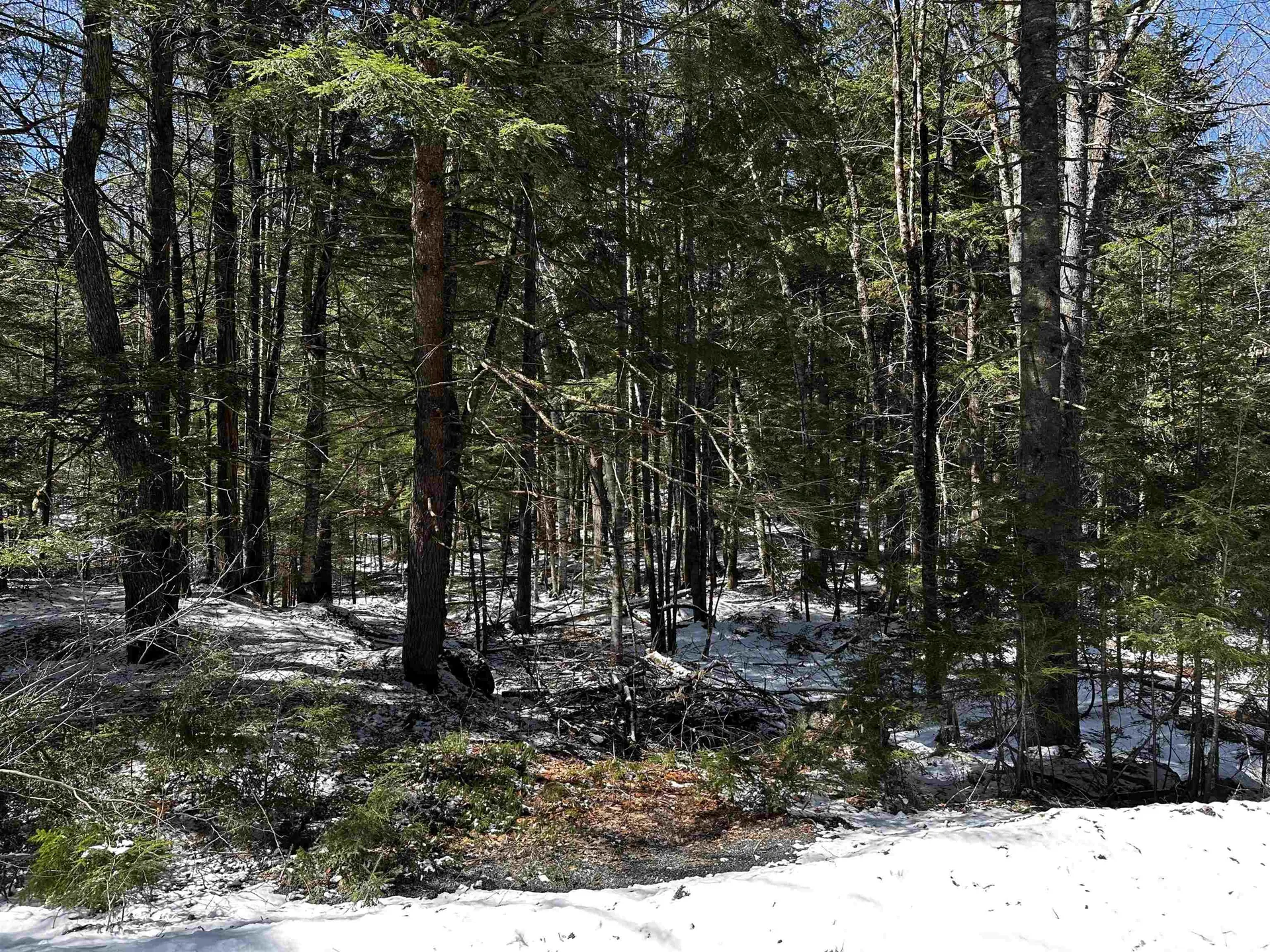 119 Pauls Place Enfield NH 03748