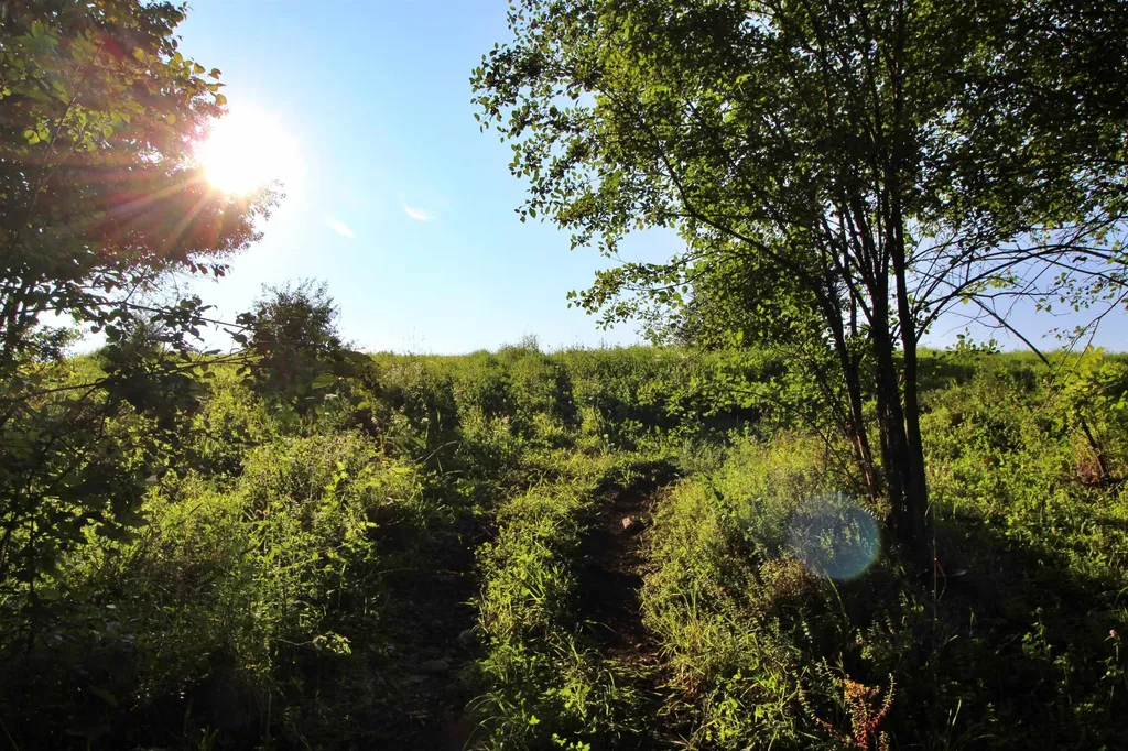 27 Faywood Road Grand Isle VT 05458