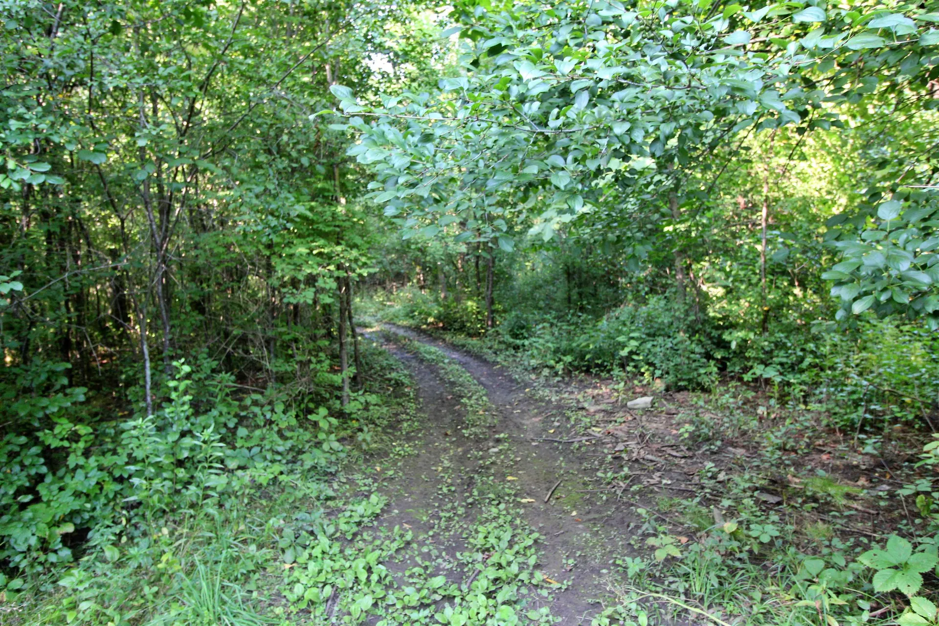 27 Faywood Road Grand Isle VT 05458