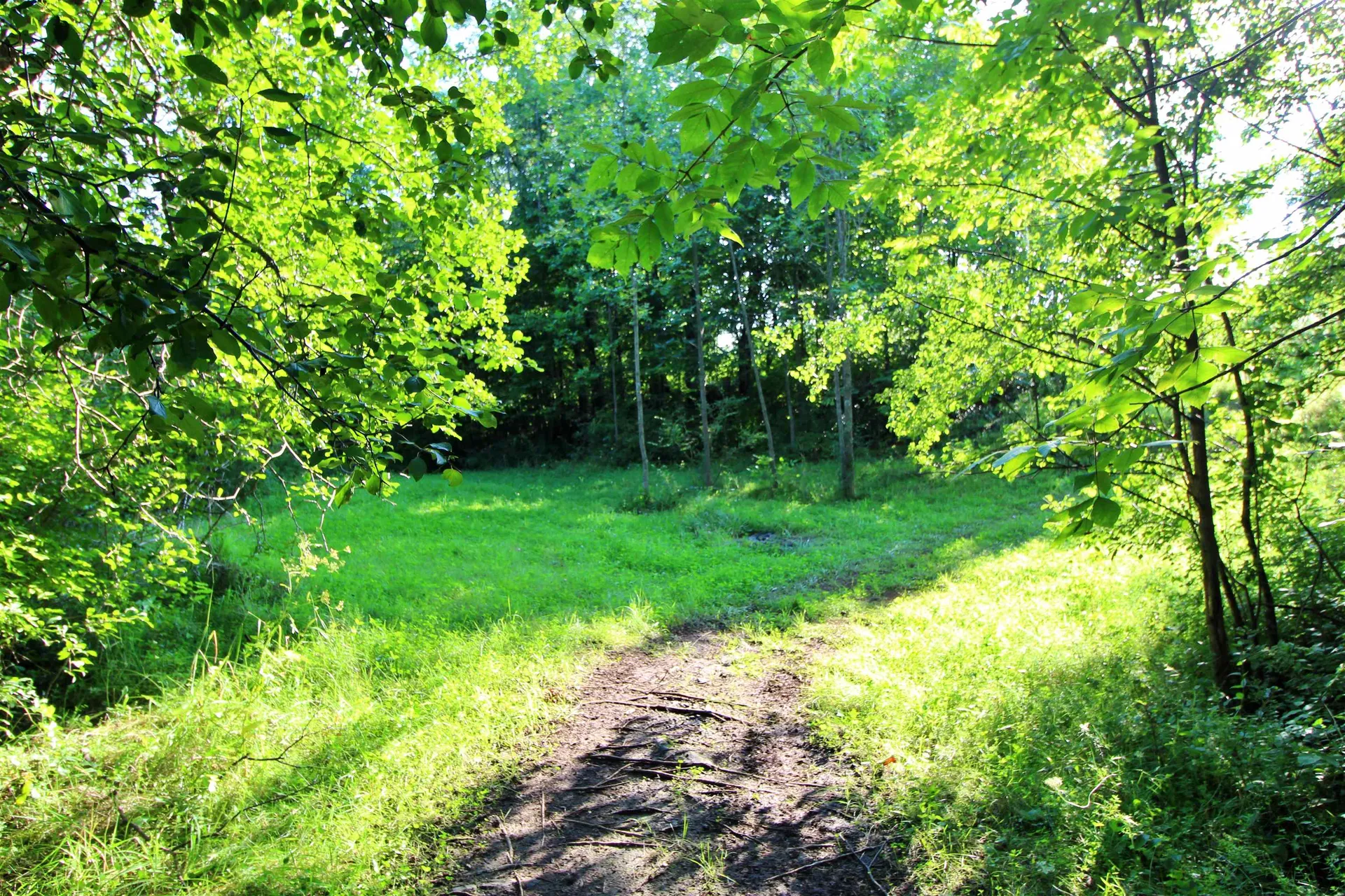 27 Faywood Road Grand Isle VT 05458