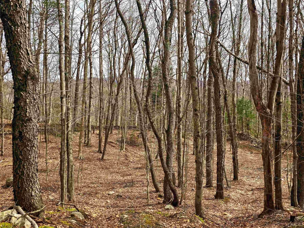 210 Sparrow Drive Stamford VT 05352