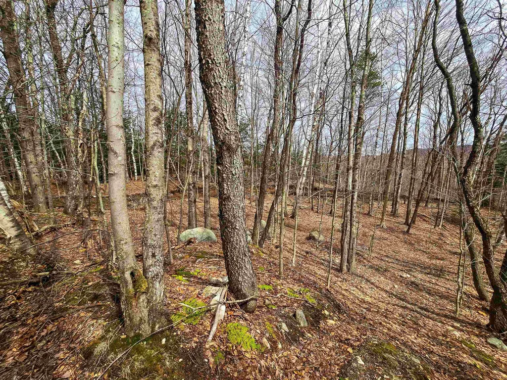 210 Sparrow Drive Stamford VT 05352