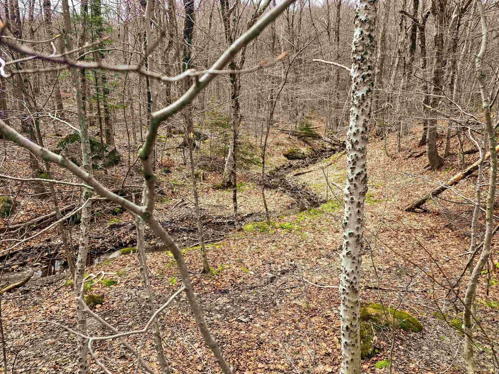 210 Sparrow Drive Stamford VT 05352