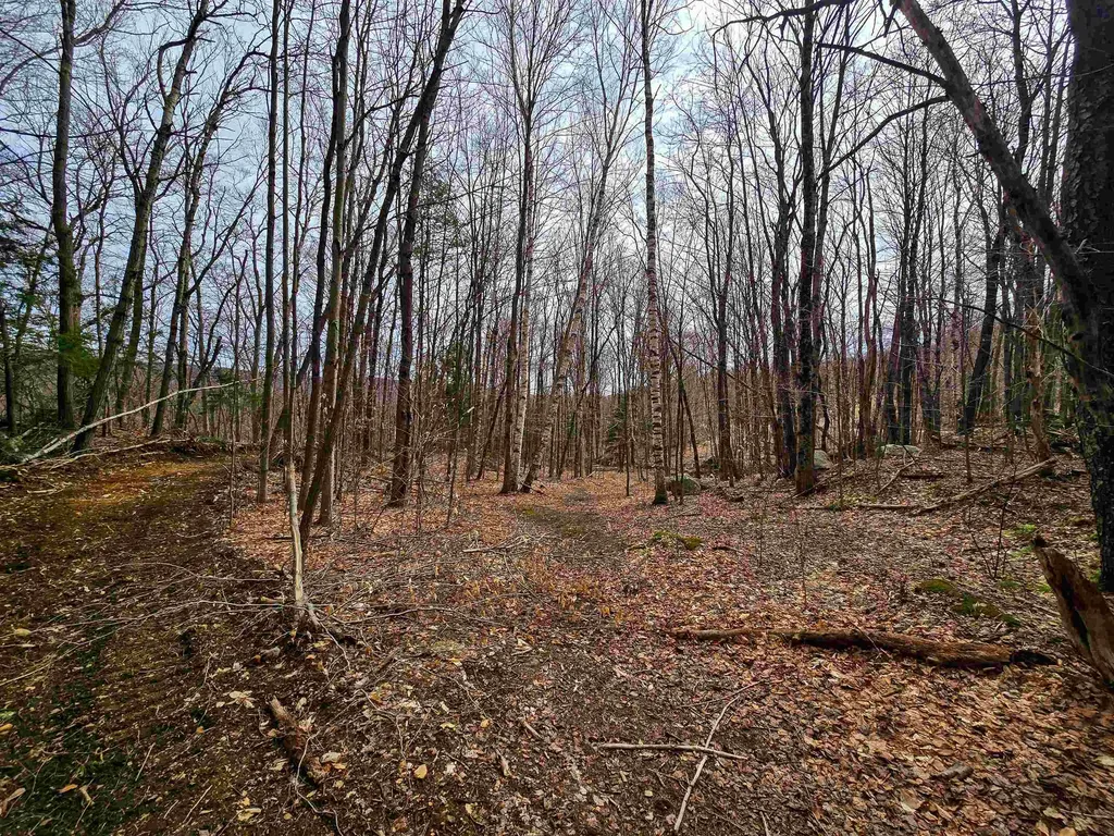 210 Sparrow Drive Stamford VT 05352