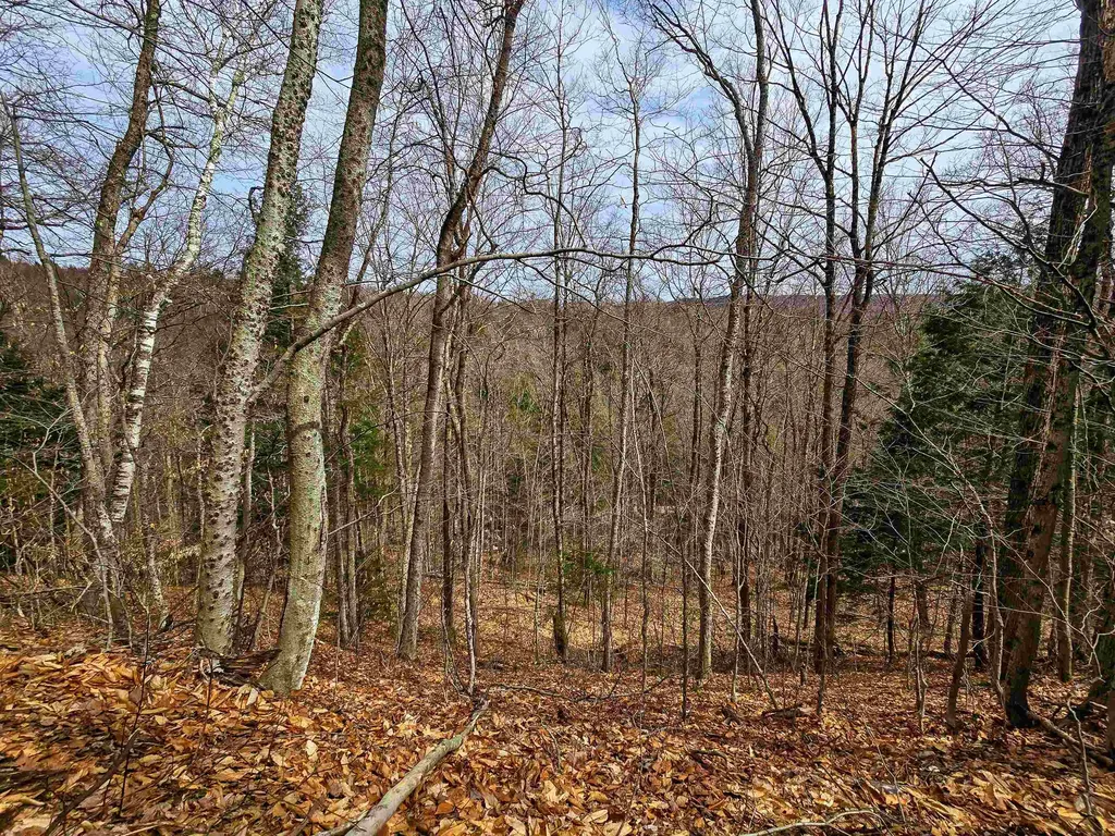 210 Sparrow Drive Stamford VT 05352