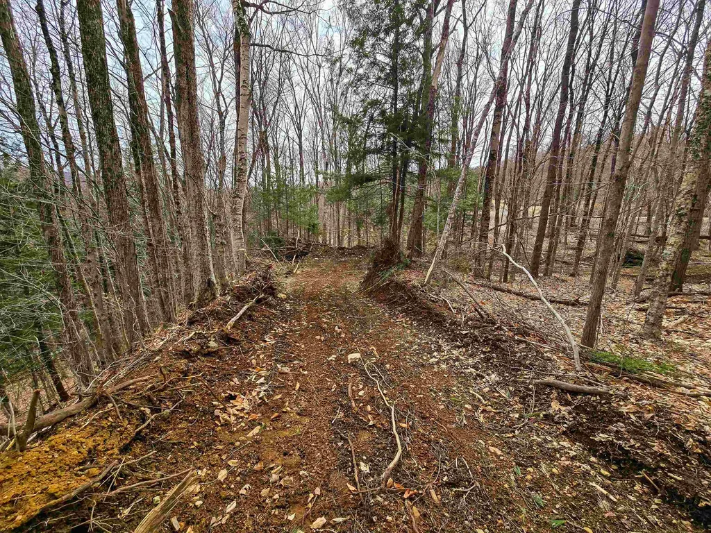 210 Sparrow Drive Stamford VT 05352