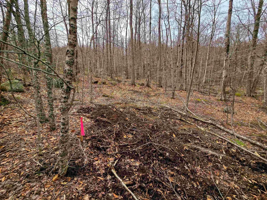 210 Sparrow Drive Stamford VT 05352