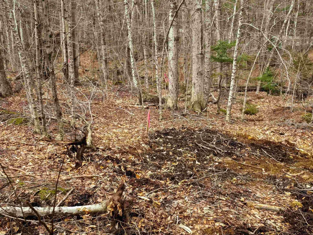 210 Sparrow Drive Stamford VT 05352