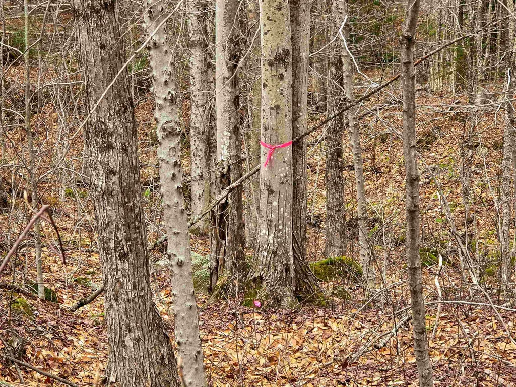 210 Sparrow Drive Stamford VT 05352