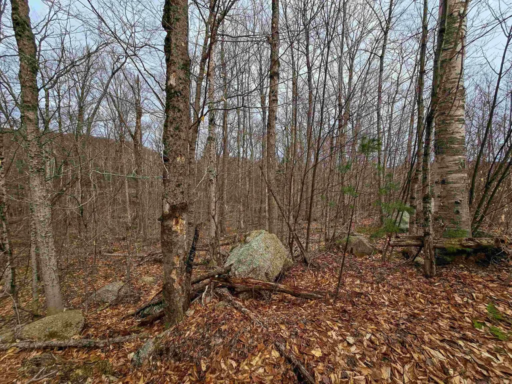 210 Sparrow Drive Stamford VT 05352