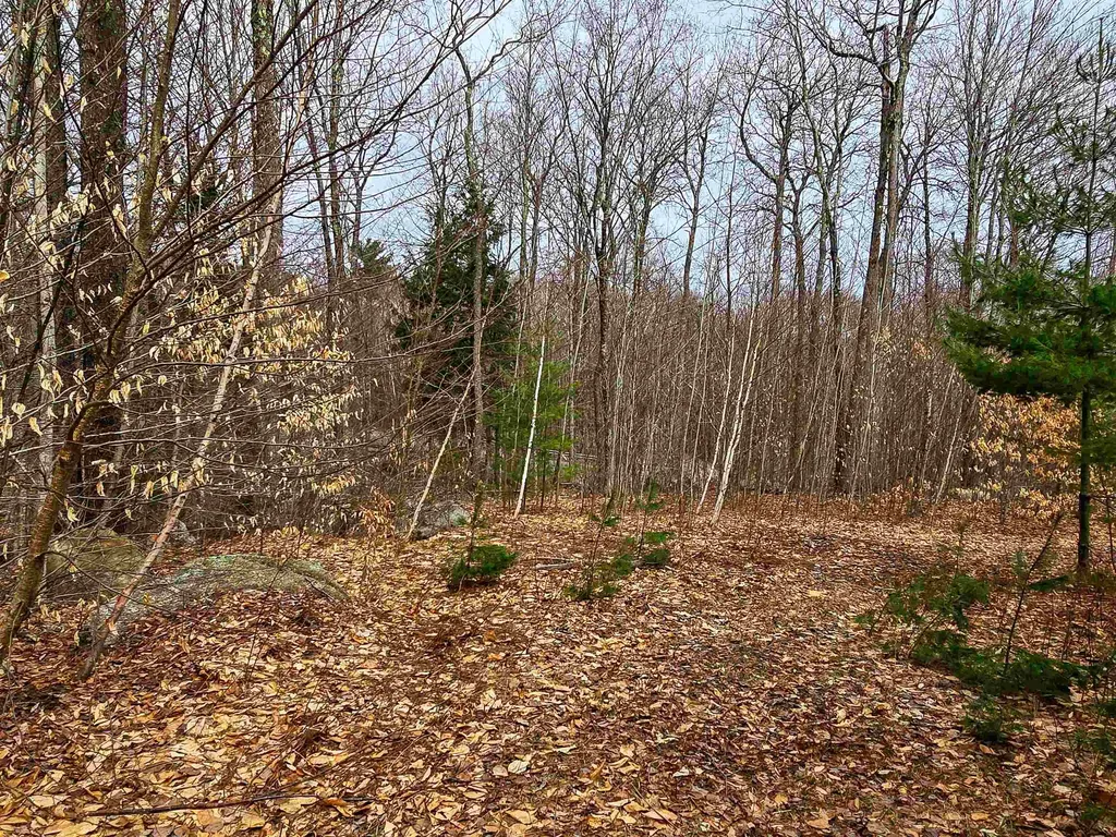 210 Sparrow Drive Stamford VT 05352