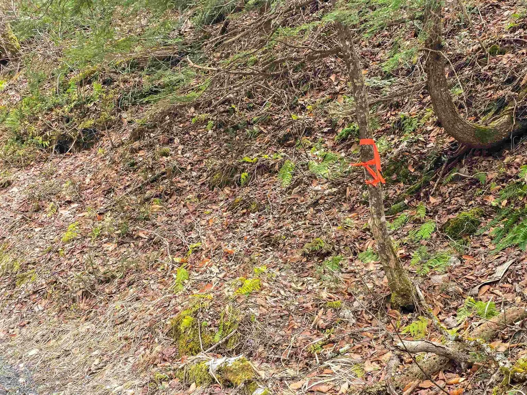 210 Sparrow Drive Stamford VT 05352