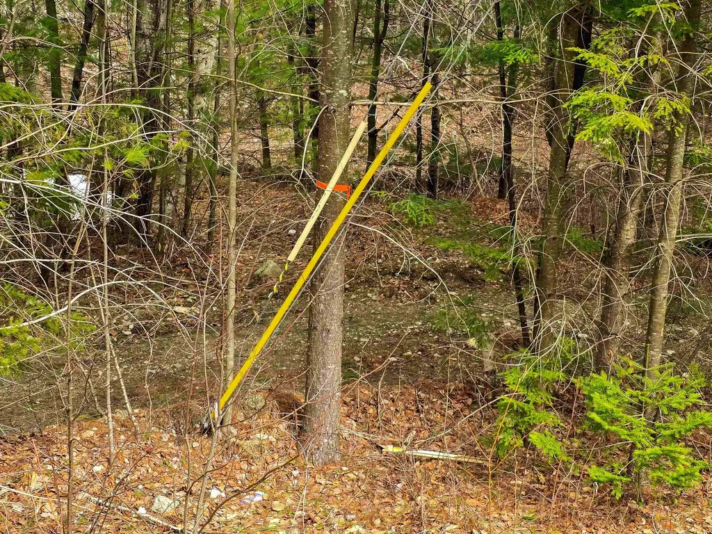 210 Sparrow Drive Stamford VT 05352