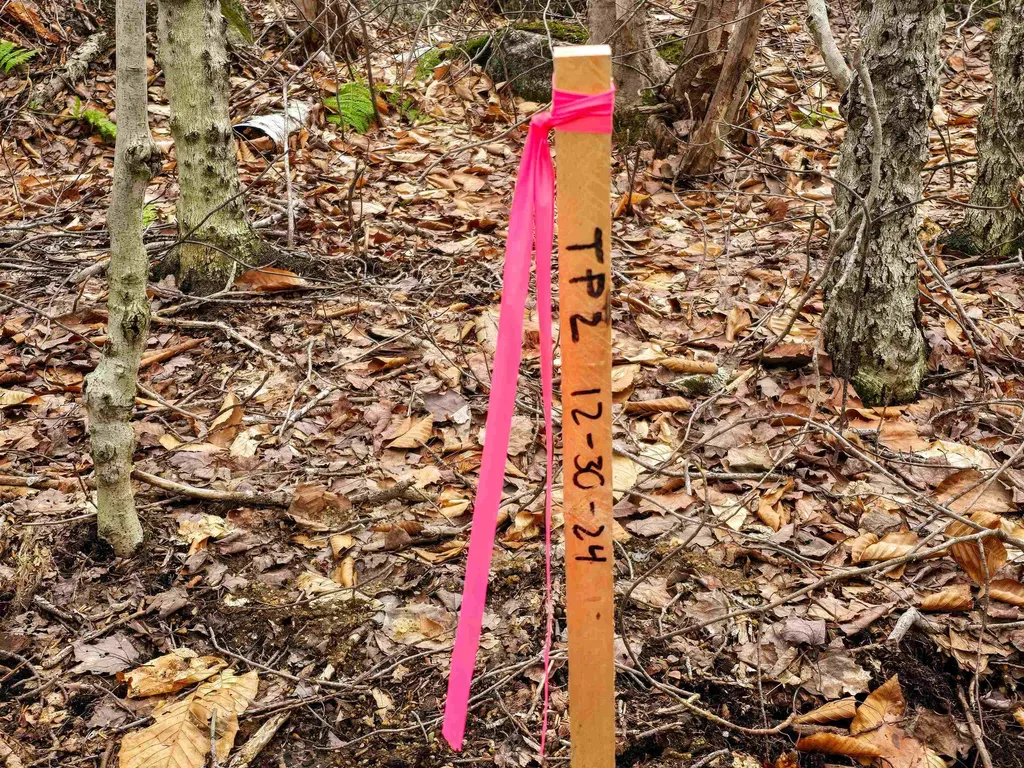 210 Sparrow Drive Stamford VT 05352