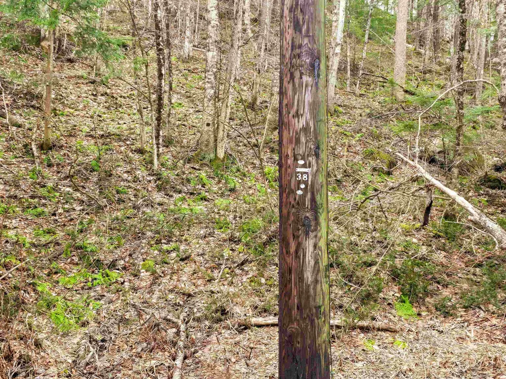 210 Sparrow Drive Stamford VT 05352