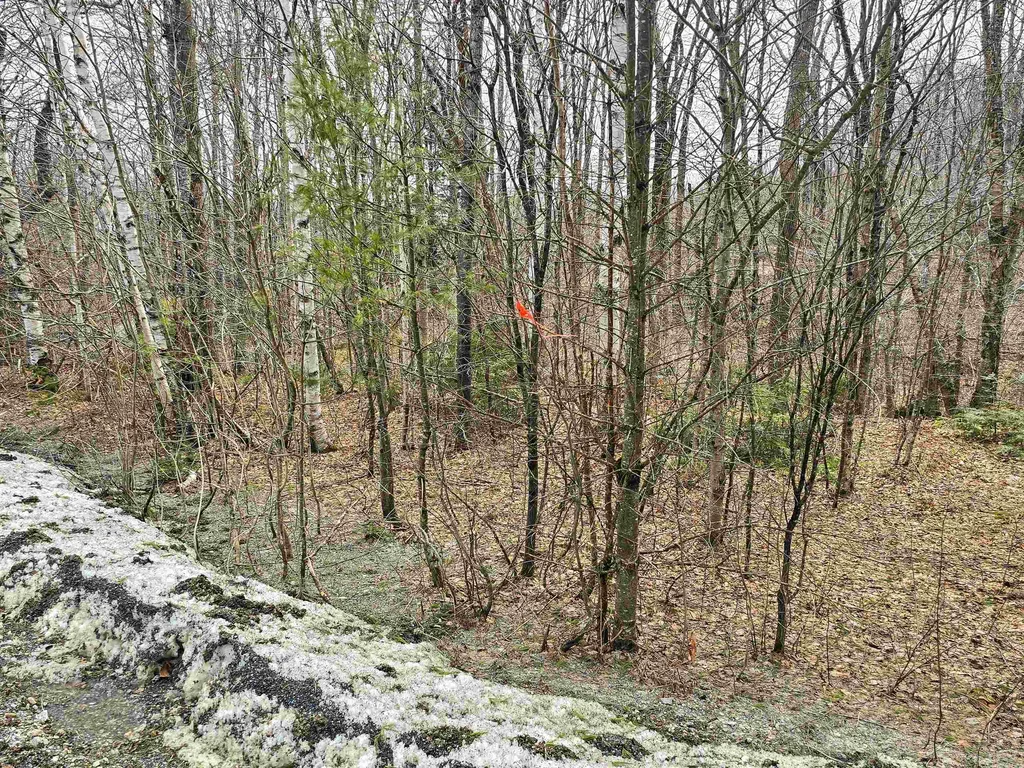 210 Sparrow Drive Stamford VT 05352