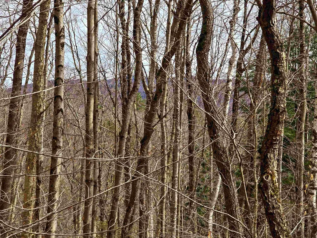 210 Sparrow Drive Stamford VT 05352