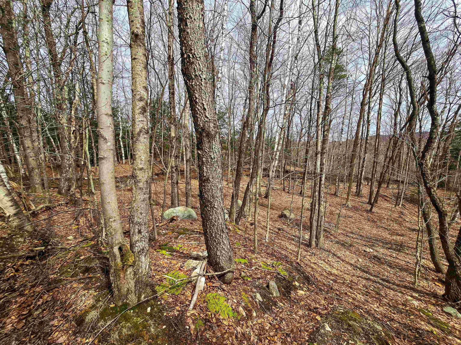 210 Sparrow Drive Stamford VT 05352