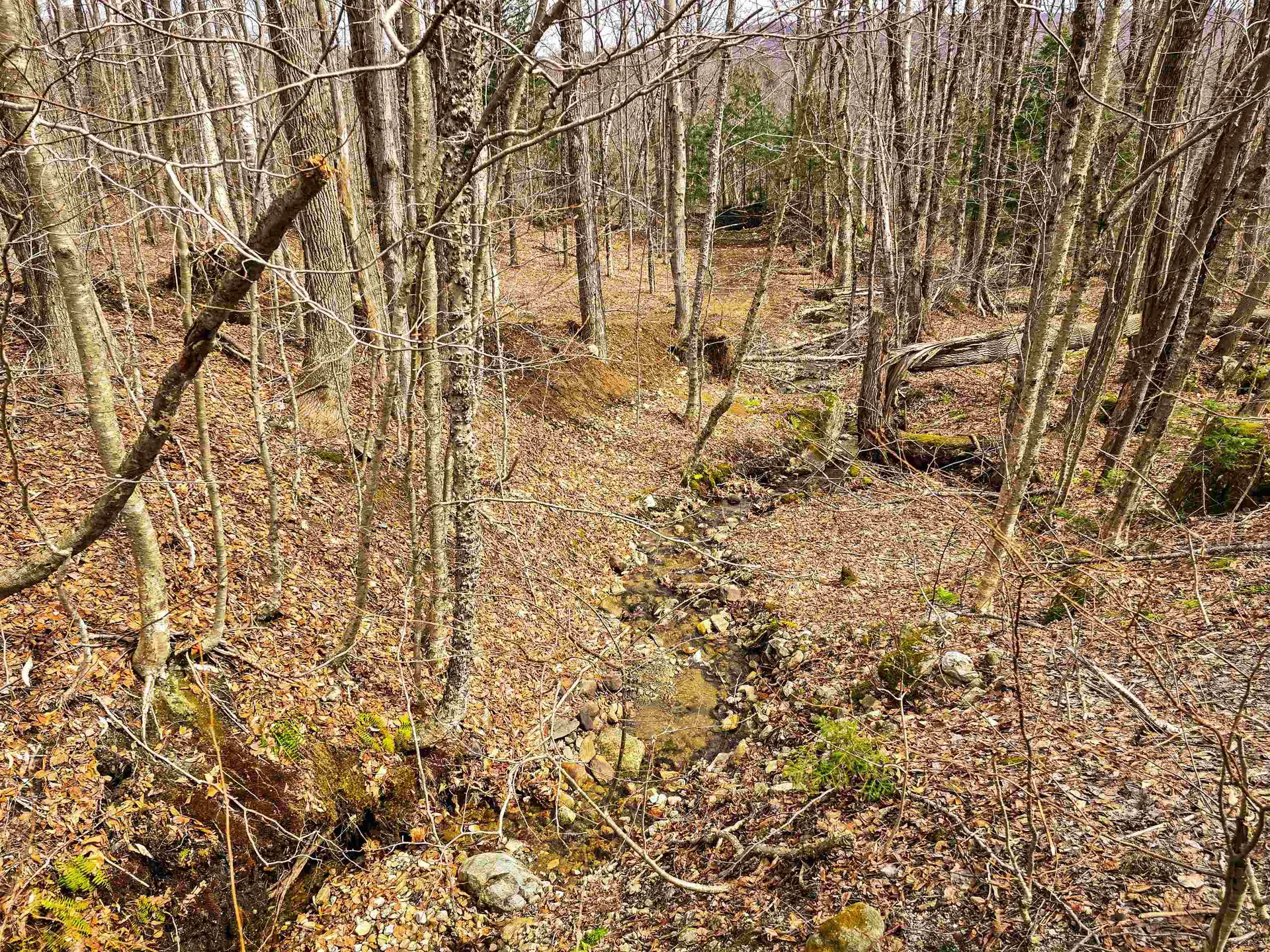 210 Sparrow Drive Stamford VT 05352