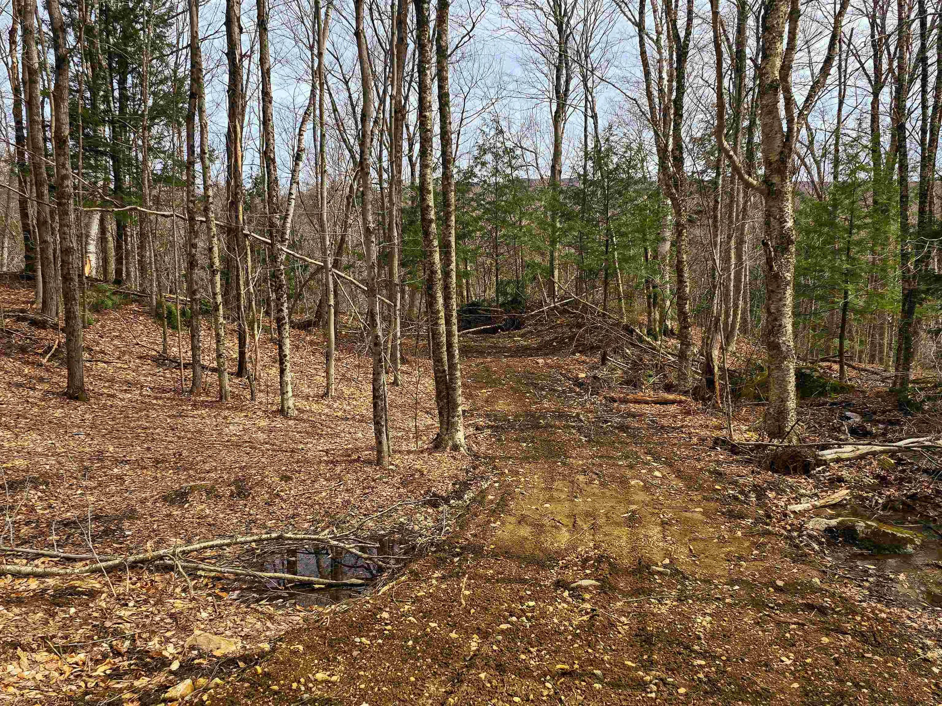 210 Sparrow Drive Stamford VT 05352