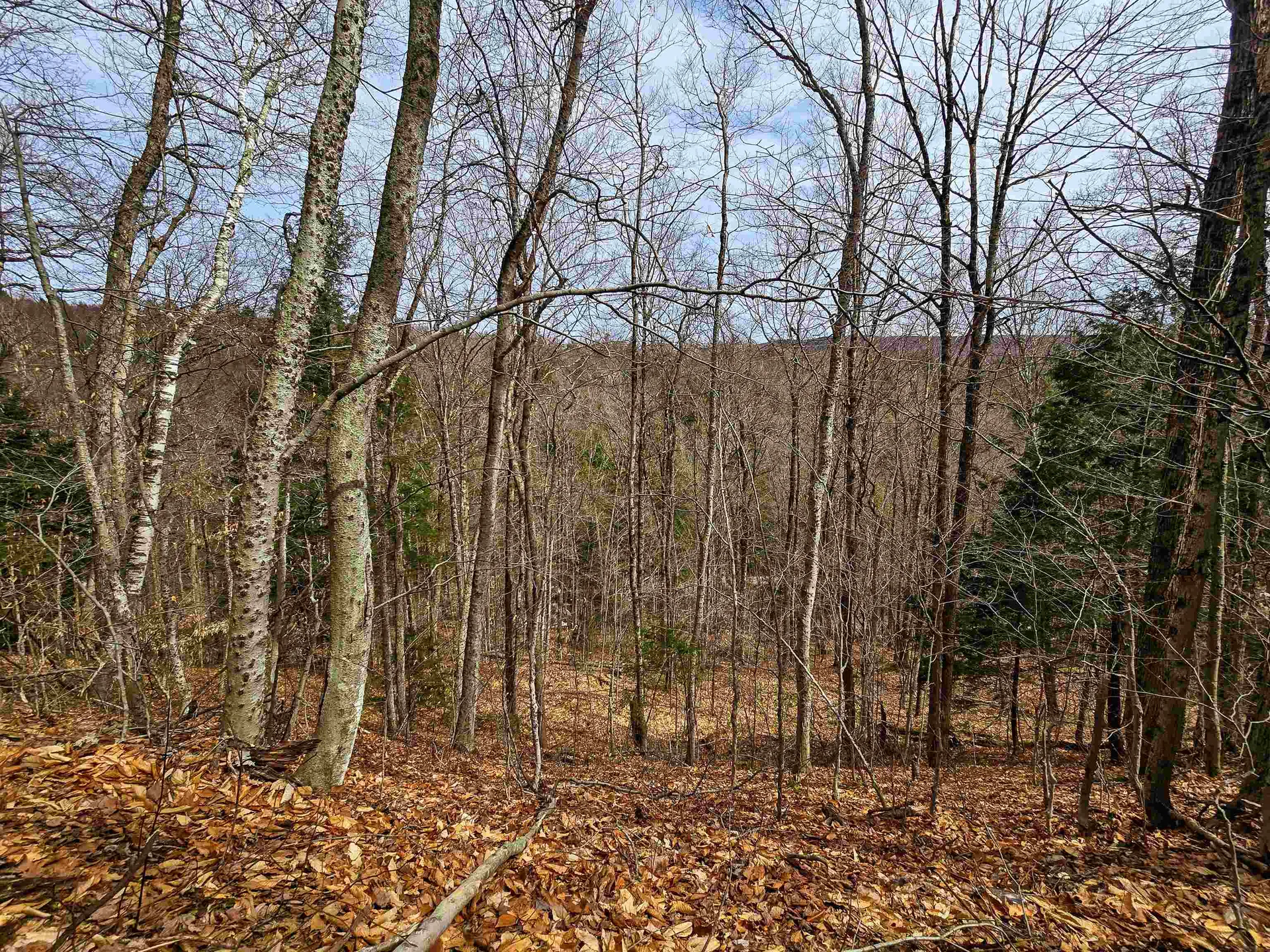 210 Sparrow Drive Stamford VT 05352