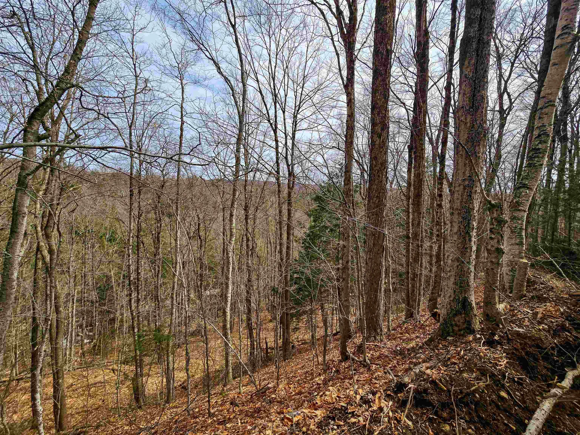 210 Sparrow Drive Stamford VT 05352