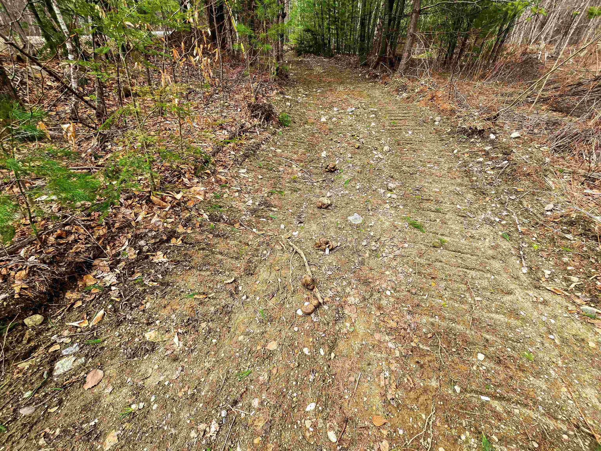 210 Sparrow Drive Stamford VT 05352