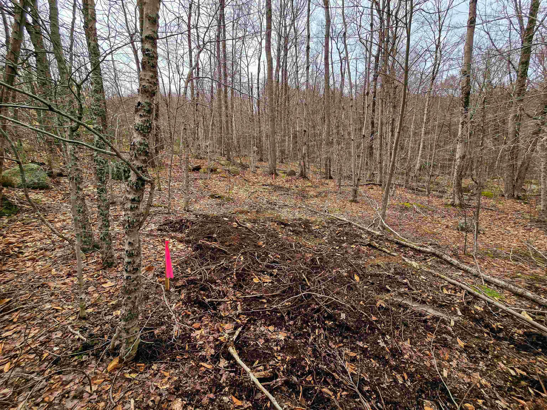 210 Sparrow Drive Stamford VT 05352