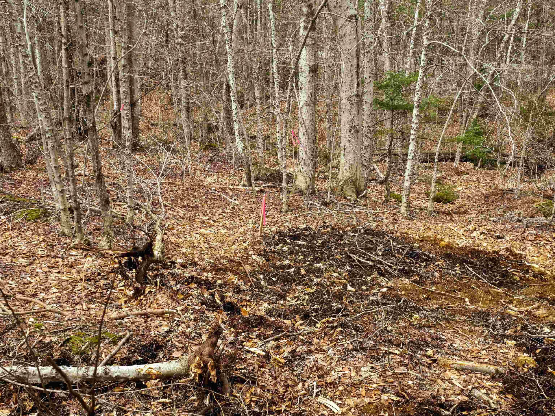 210 Sparrow Drive Stamford VT 05352