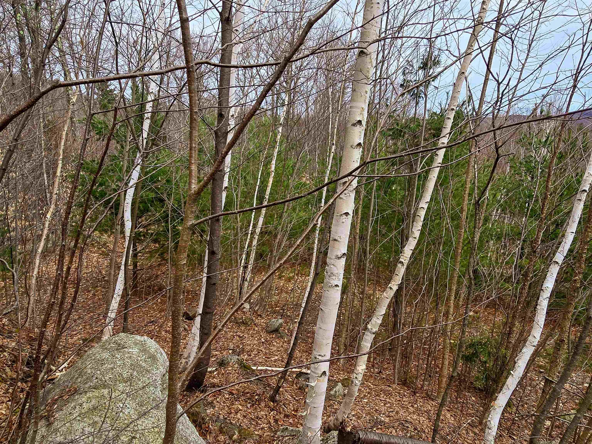 210 Sparrow Drive Stamford VT 05352