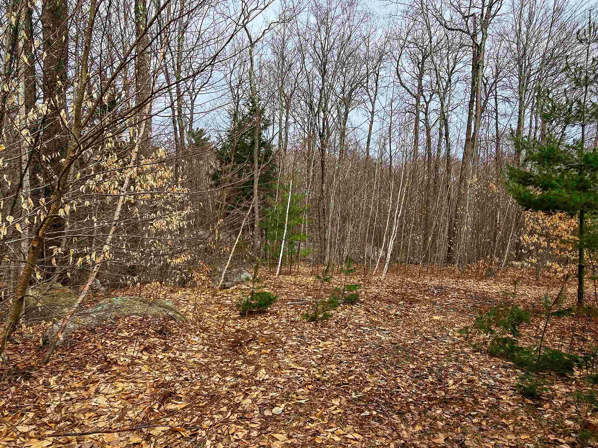 210 Sparrow Drive Stamford VT 05352