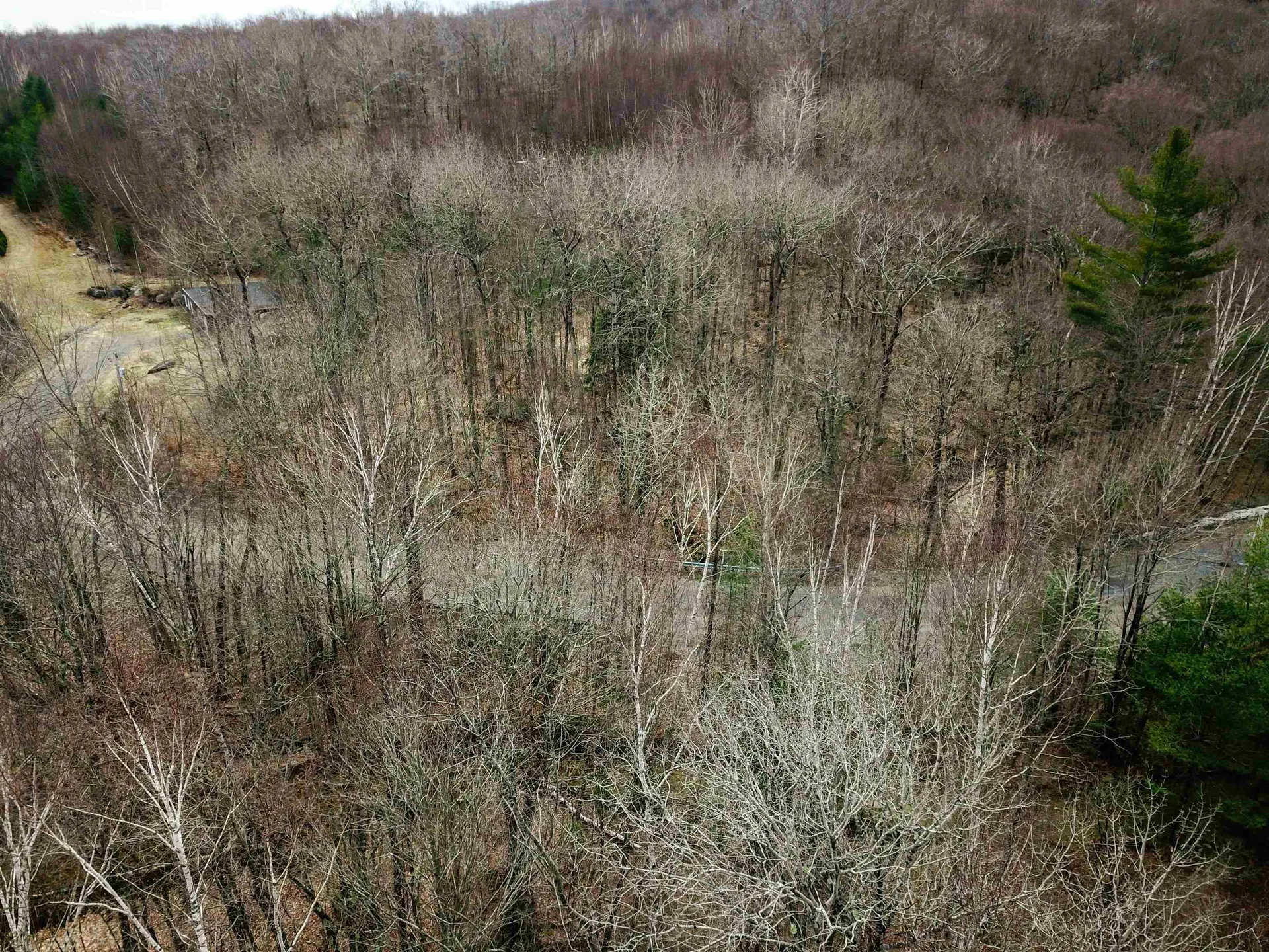 210 Sparrow Drive Stamford VT 05352