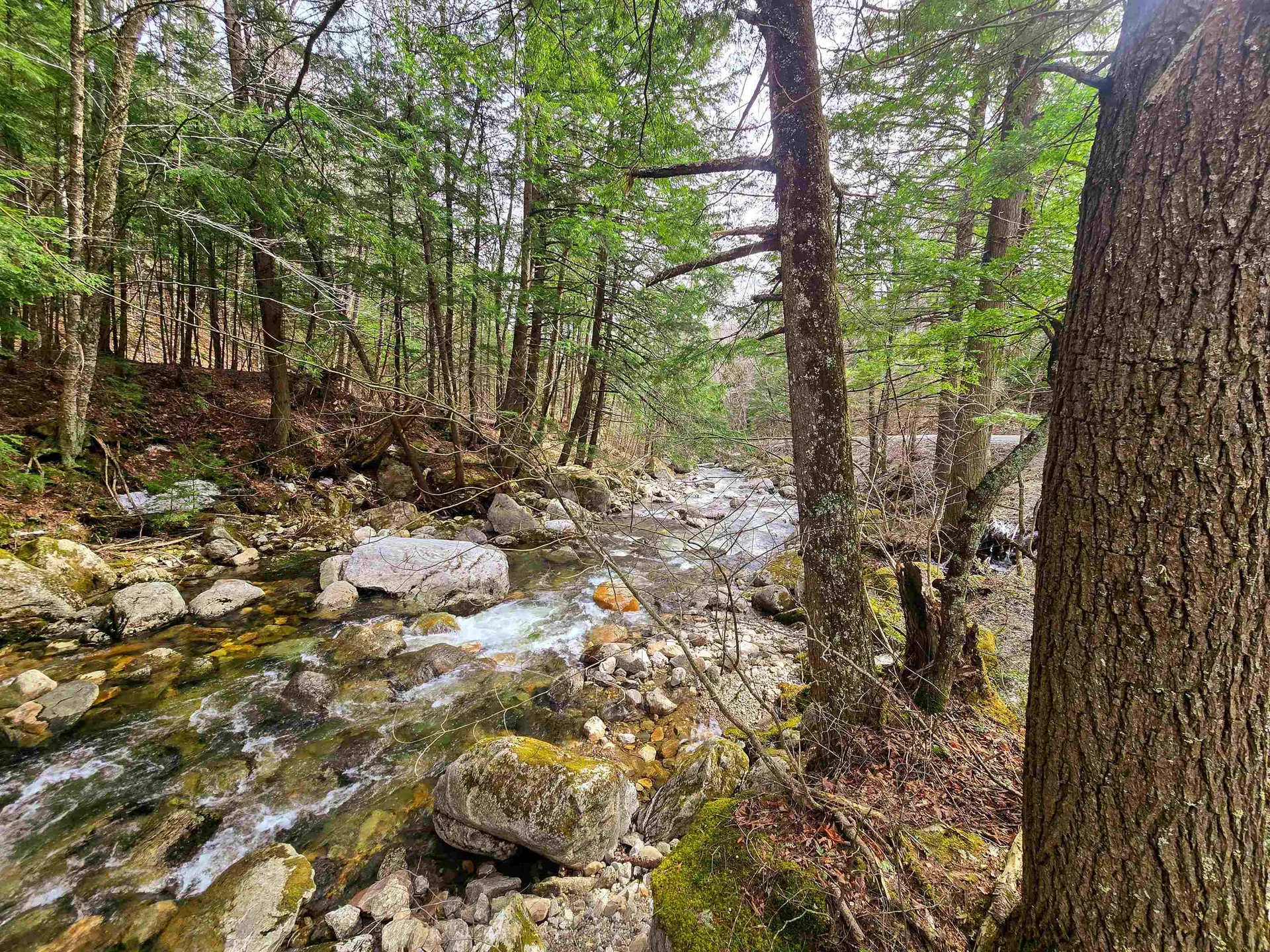 210 Sparrow Drive Stamford VT 05352