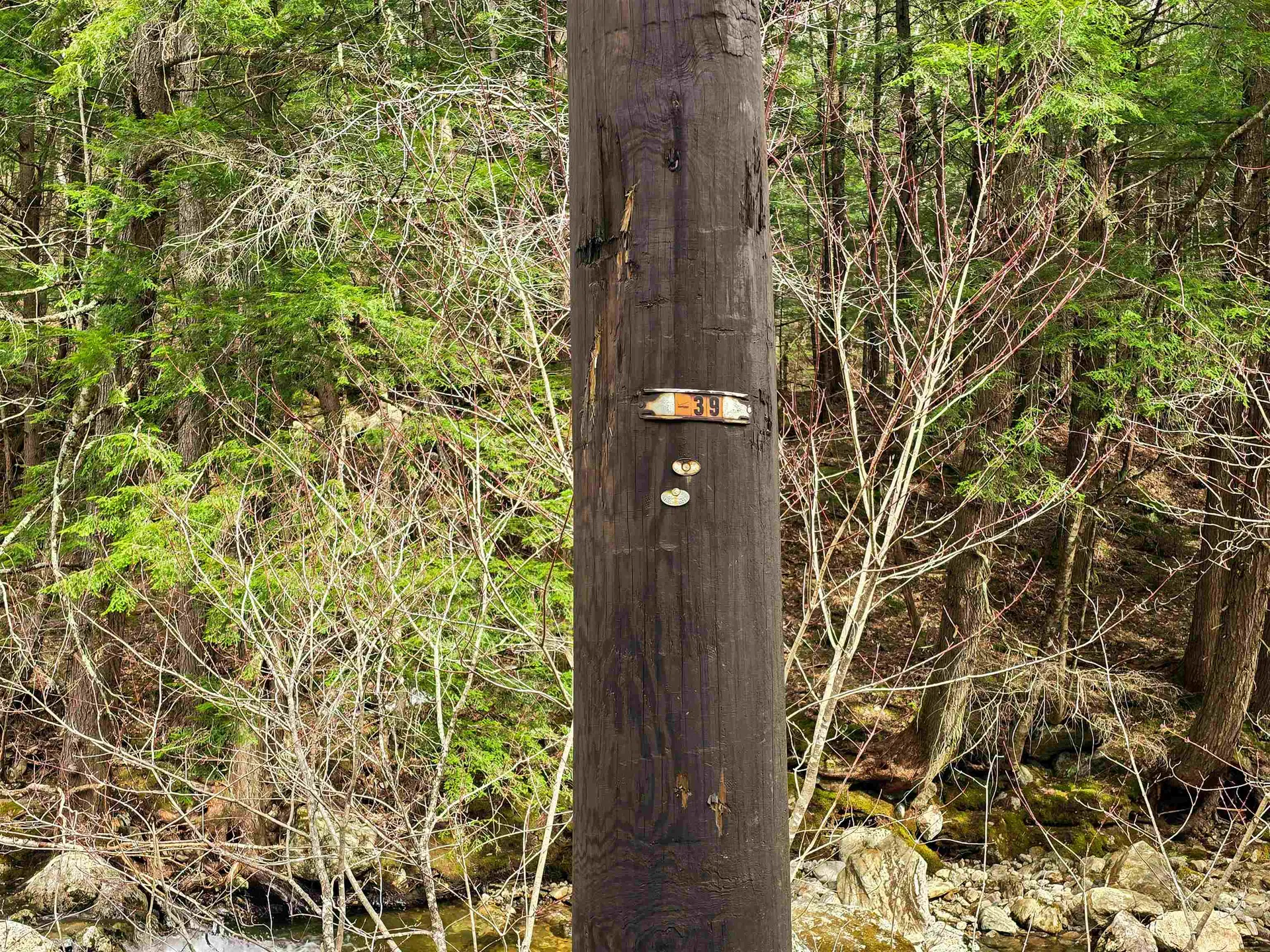 210 Sparrow Drive Stamford VT 05352