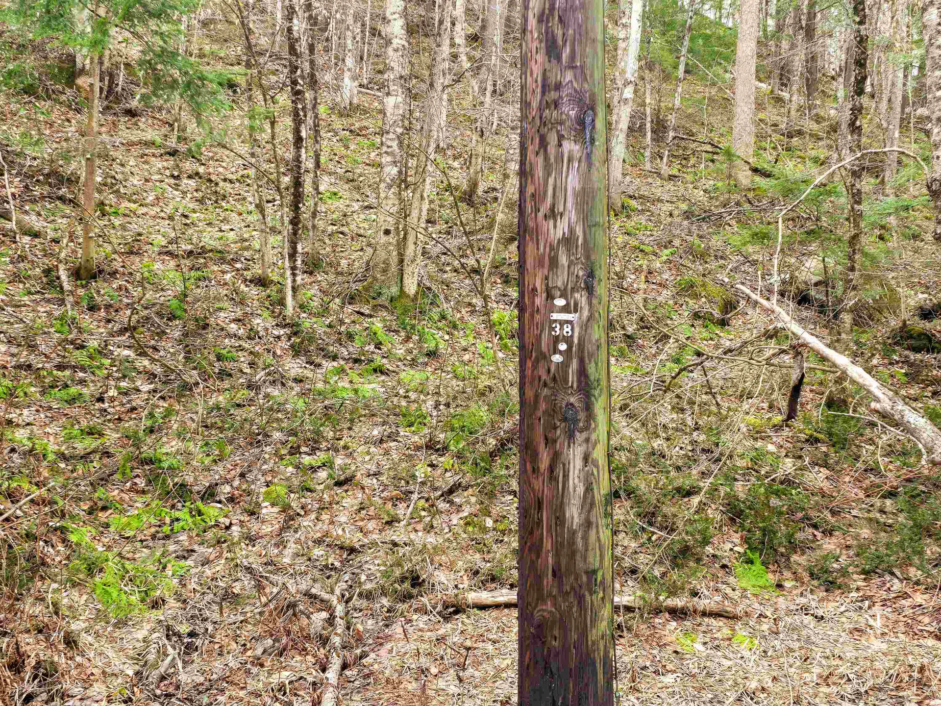 210 Sparrow Drive Stamford VT 05352