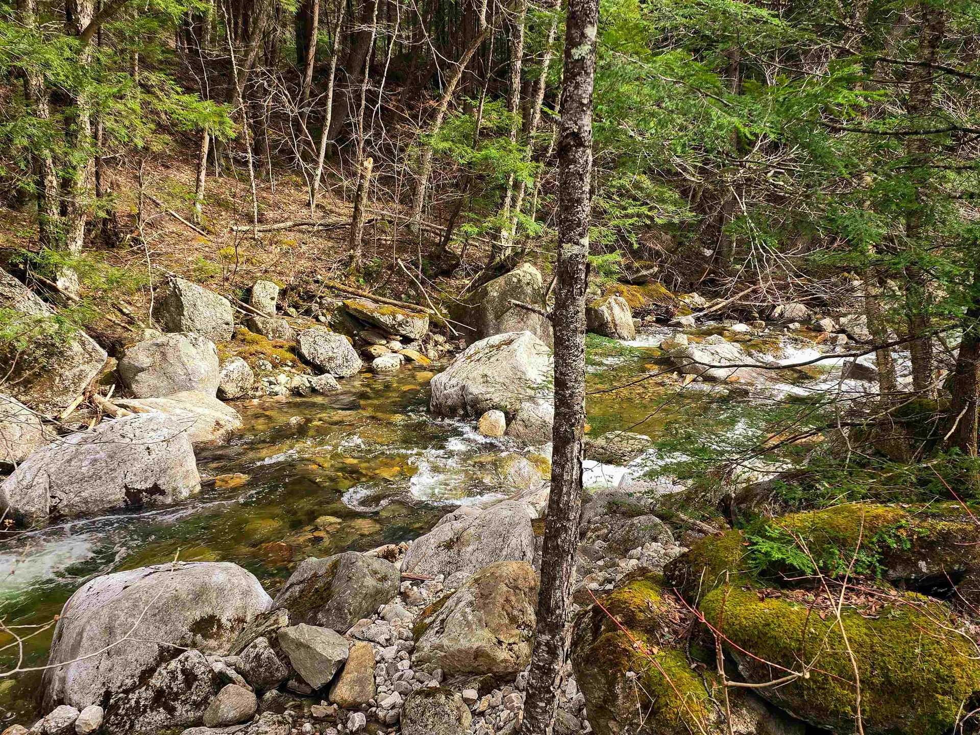 210 Sparrow Drive Stamford VT 05352