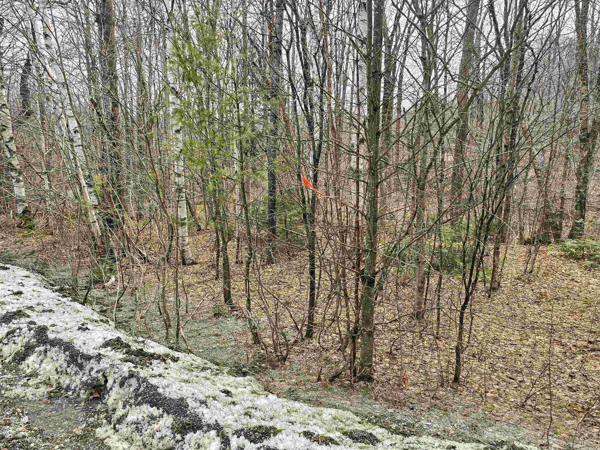 210 Sparrow Drive Stamford VT 05352