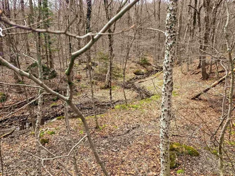 210 Sparrow Drive Stamford VT 05352