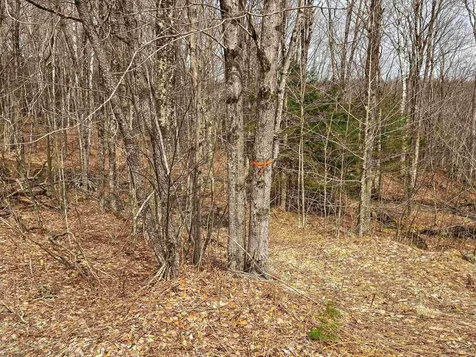 210 Sparrow Drive Stamford VT 05352