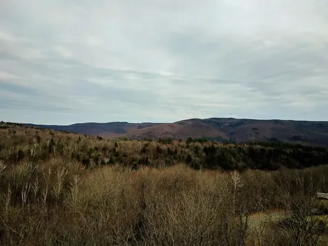 210 Sparrow Drive Stamford VT 05352