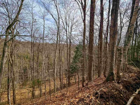 210 Sparrow Drive Stamford VT 05352