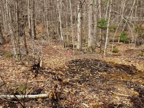 210 Sparrow Drive Stamford VT 05352