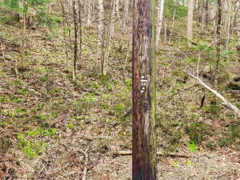 210 Sparrow Drive Stamford VT 05352