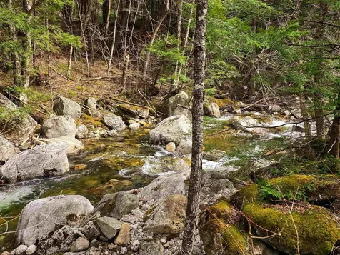 210 Sparrow Drive Stamford VT 05352